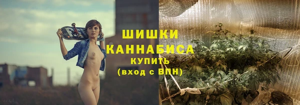 гашик Инсар