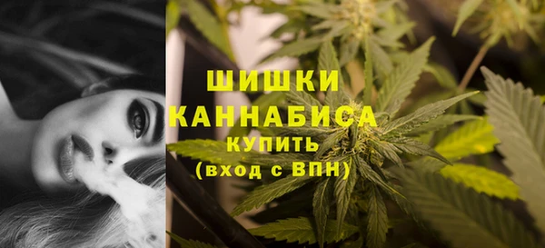 гидропоника Иннополис