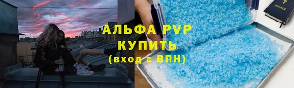 гашик Инсар