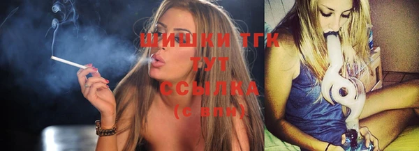гашик Инсар