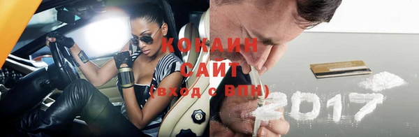 гашик Инсар