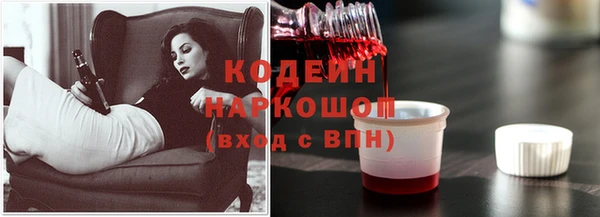 гашик Инсар
