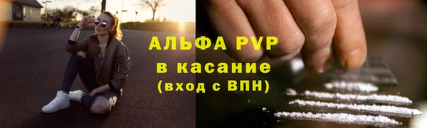 гашик Инсар