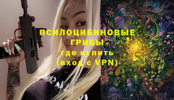 гашик Инсар