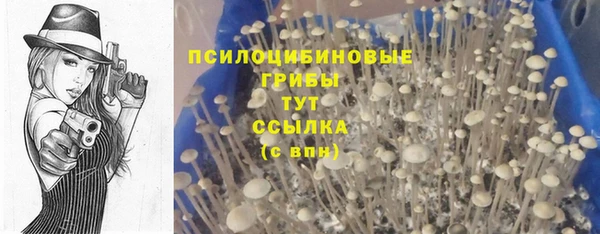 гидропоника Иннополис