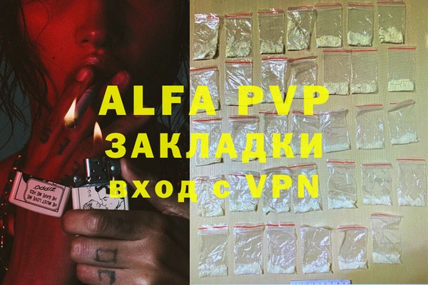 гашик Инсар