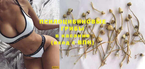 гашик Инсар