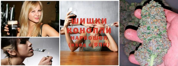 гидропоника Иннополис