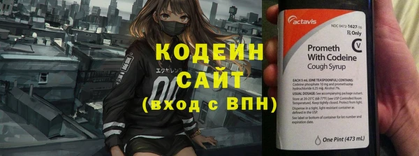 гашик Инсар